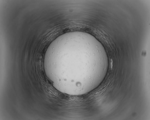 X0000096131059200801180824