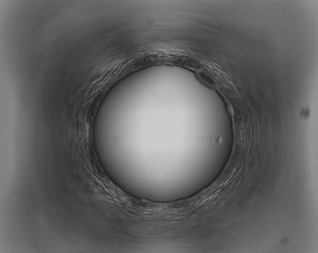 X0000096131061200801180824