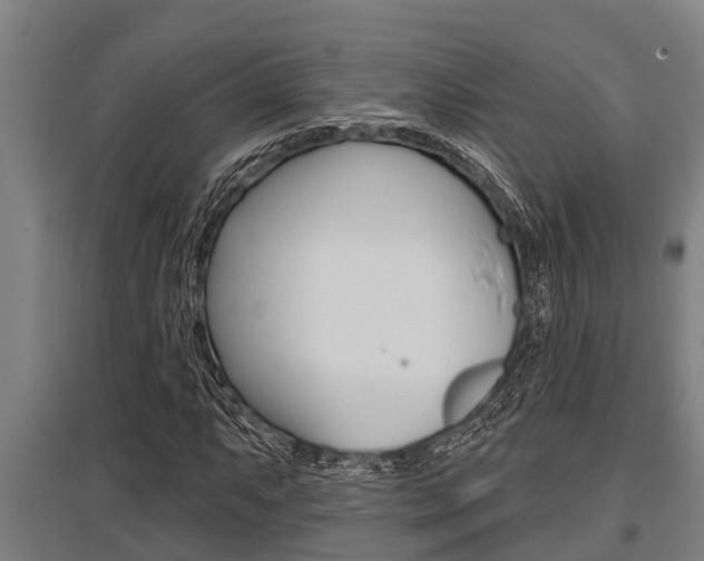 X0000096131063200801180824
