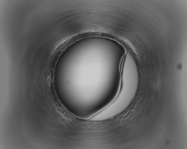 X0000096131064200801180824