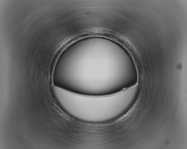 X0000096131065200801180824