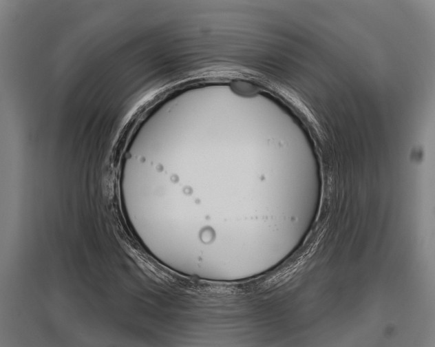 X0000096131067200801180824