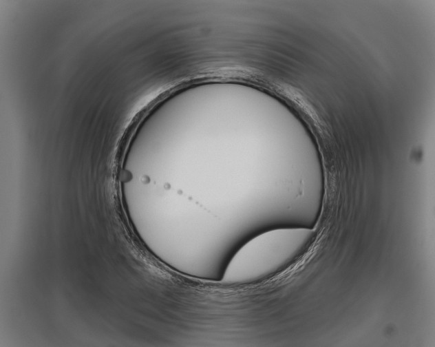 X0000096131071200801180824