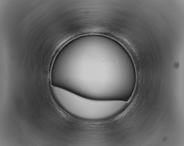 X0000096131073200801180824