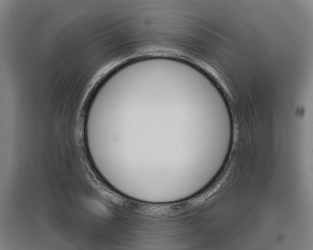 X0000096131074200801180824