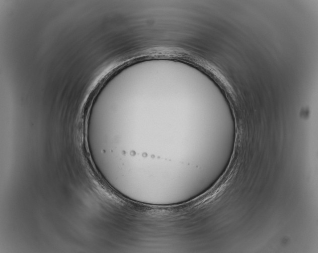 X0000096131075200801180824