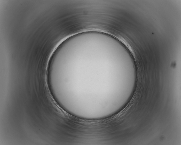 X0000096131076200801180824