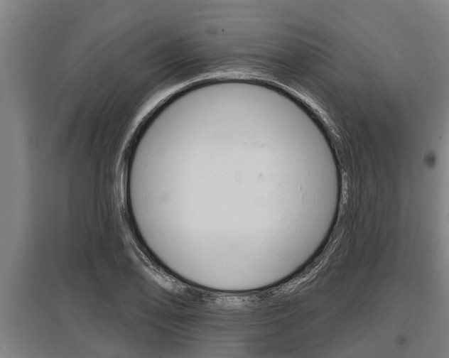 X0000096131078200801180824