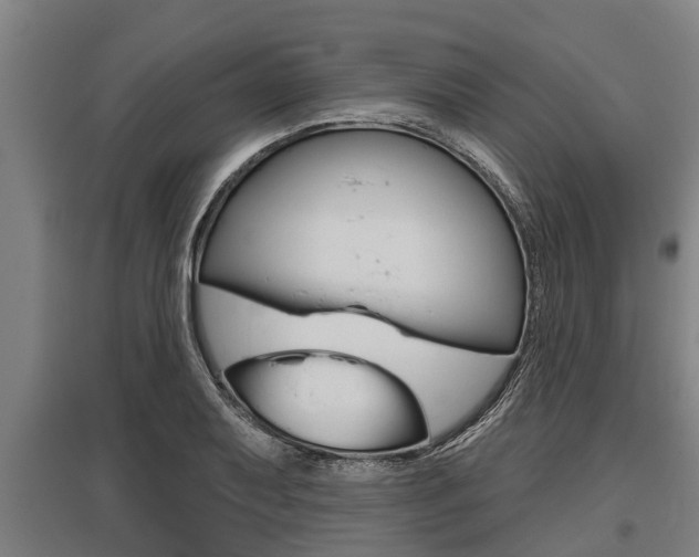 X0000096131079200801180824