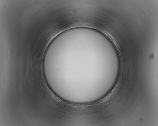 X0000096131081200801180824