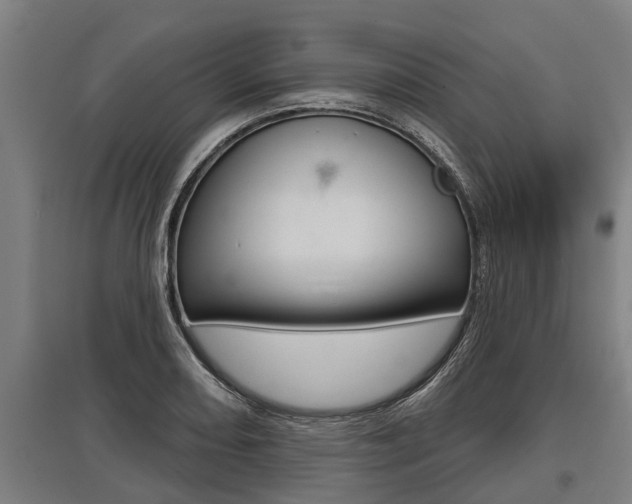 X0000096131082200801180824