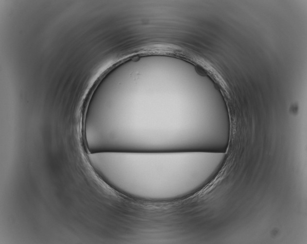 X0000096131083200801180824