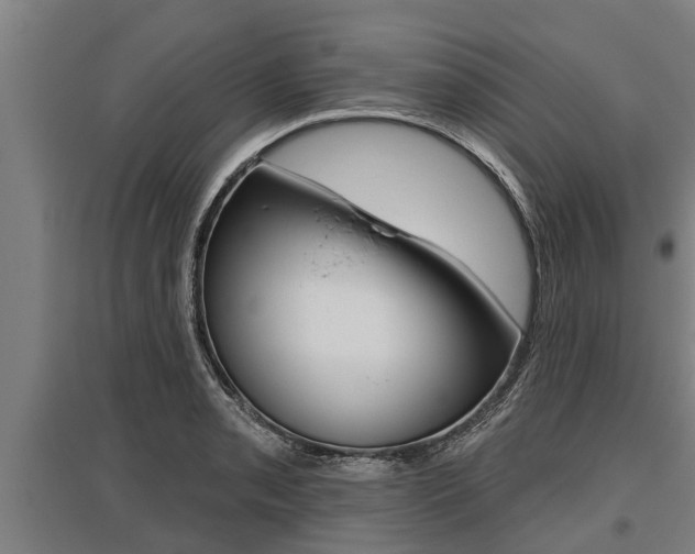X0000096131085200801180824