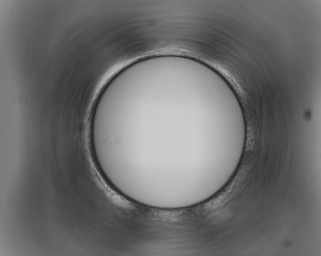 X0000096131086200801180824