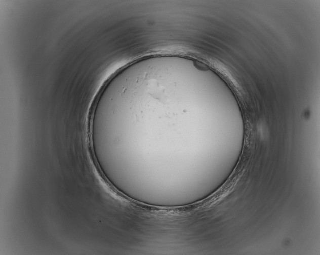 X0000096131087200801180824