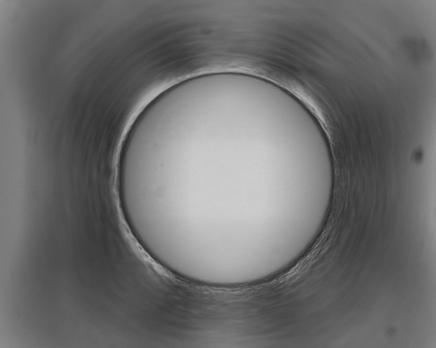 X0000096131088200801180824