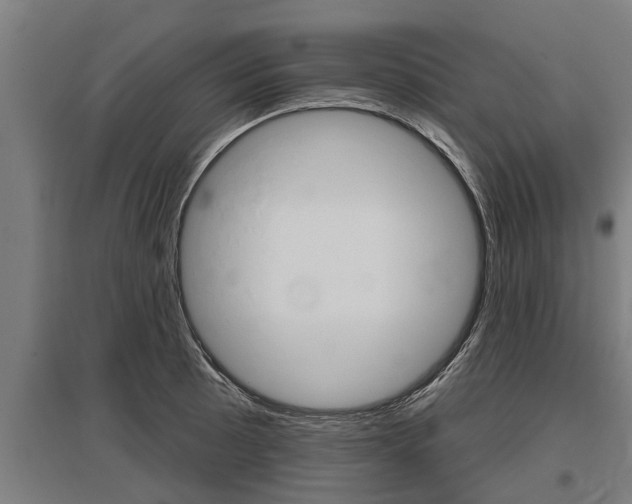 X0000096131089200801180824
