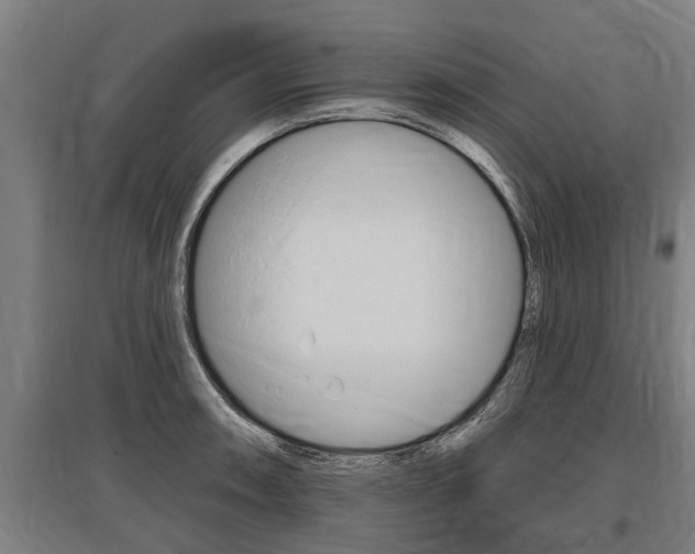 X0000096131090200801180824