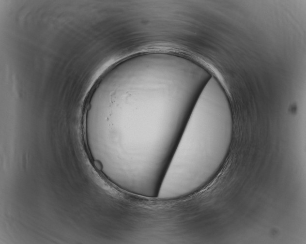 X0000096131091200801180824