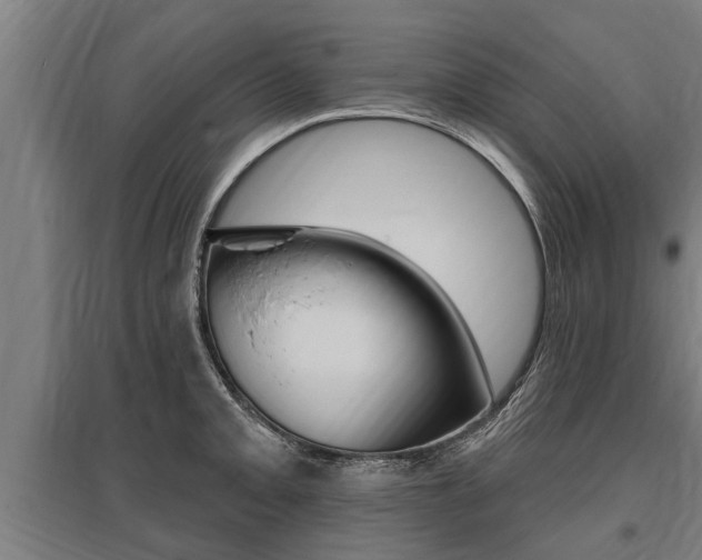 X0000096131093200801180824