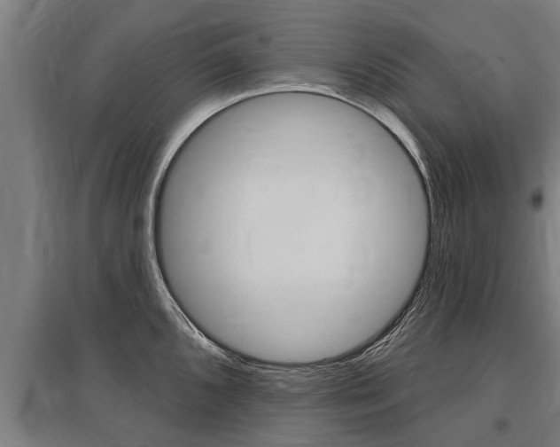 X0000096131096200801180824