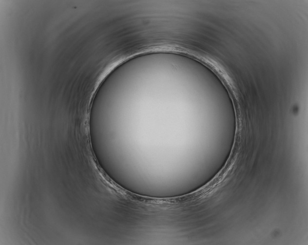 X0000096131097200801180824