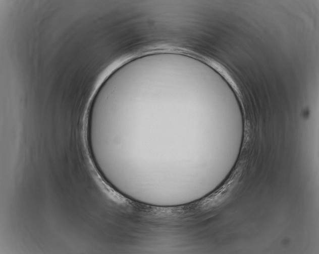 X0000096131098200801180824