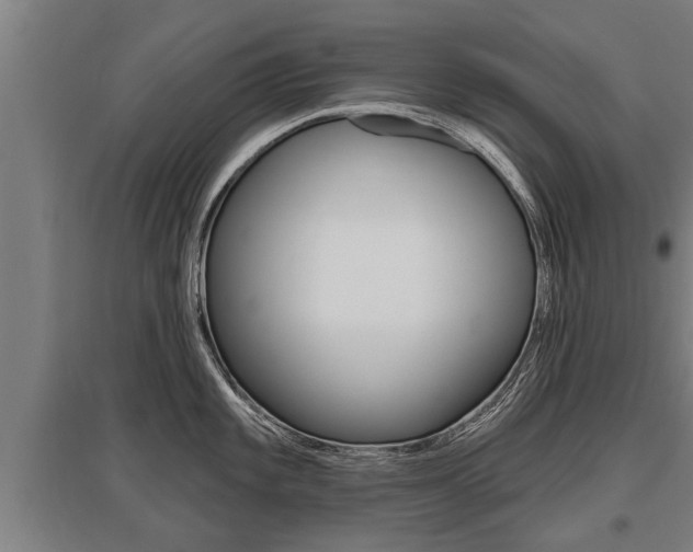 X0000096131101200801180824