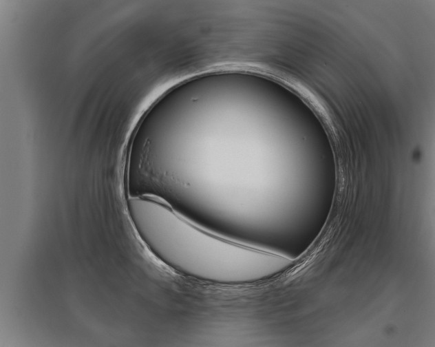 X0000096131102200801180824