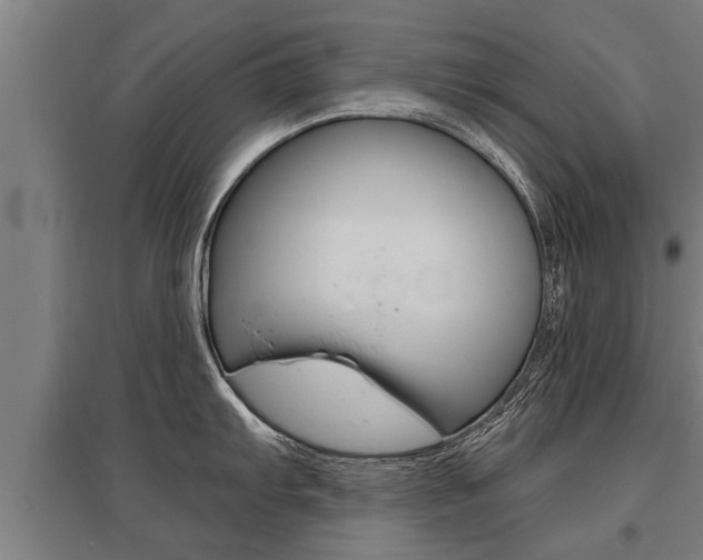 X0000096131103200801180824