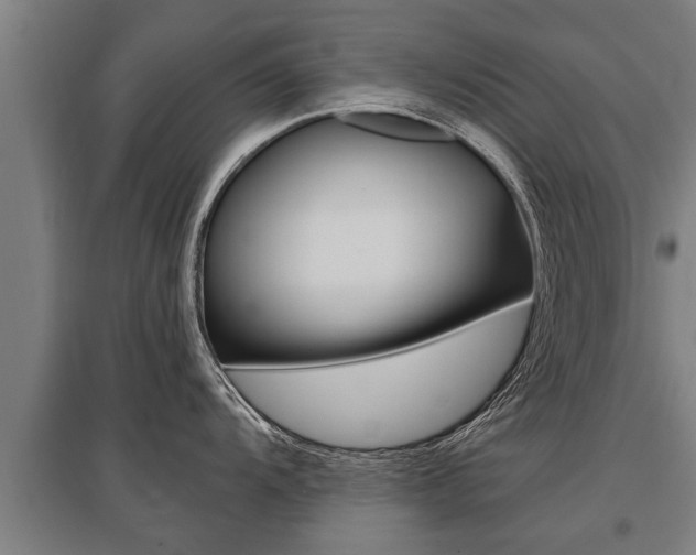 X0000096131104200801180824