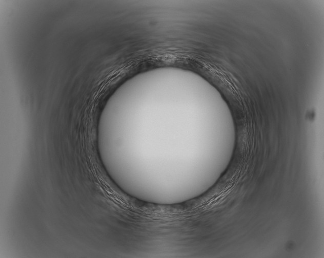 X0000096131105200801180823