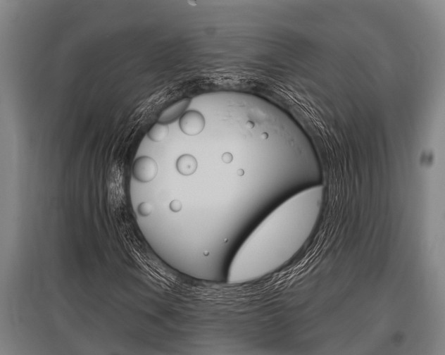 X0000096131106200801180823