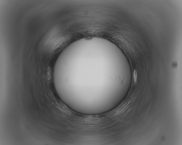X0000096131107200801180823