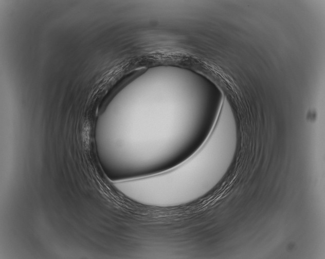 X0000096131108200801180823