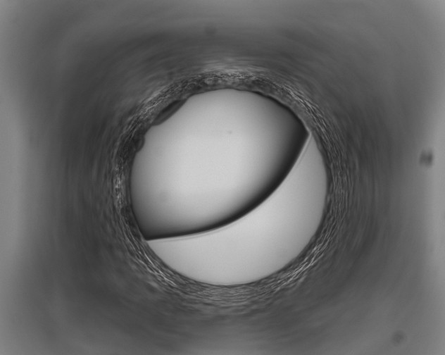X0000096131109200801180823