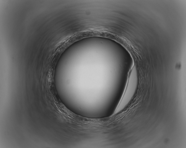 X0000096131110200801180823
