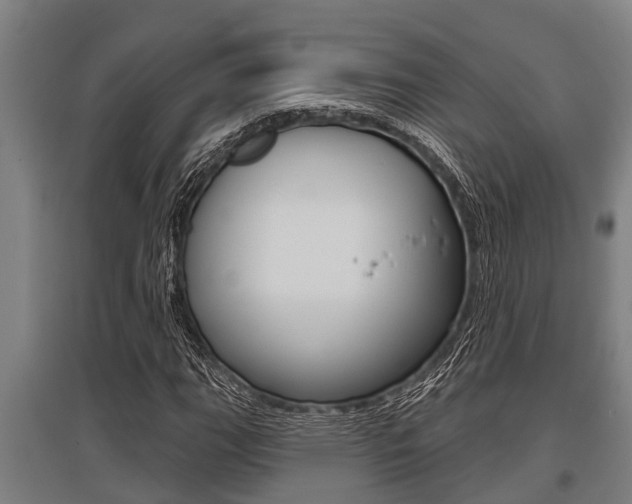 X0000096131111200801180823