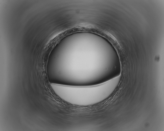 X0000096131112200801180823
