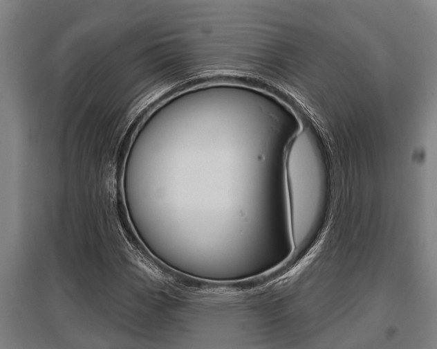 X0000096131113200801180823