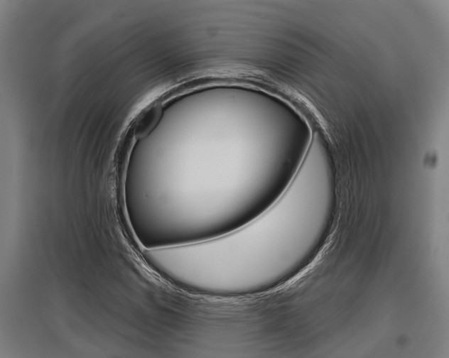 X0000096131114200801180823