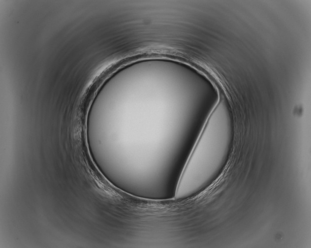 X0000096131115200801180823