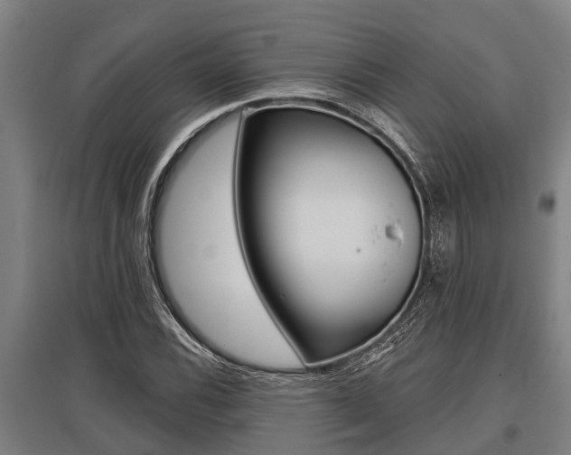 X0000096131116200801180823