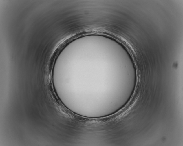 X0000096131117200801180823