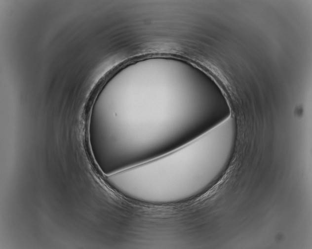 X0000096131119200801180823