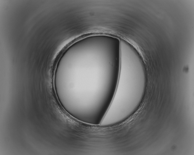 X0000096131120200801180823