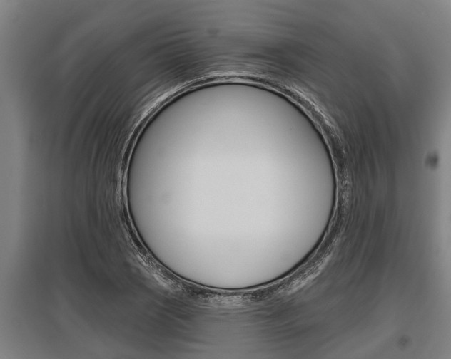X0000096131121200801180823