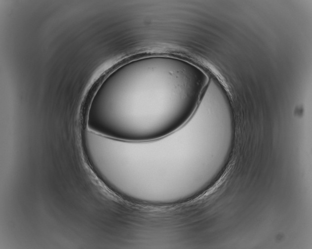 X0000096131122200801180823