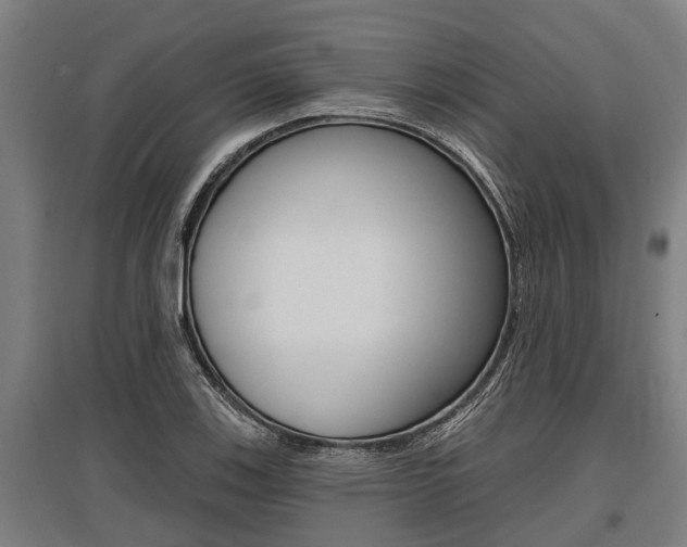 X0000096131123200801180823