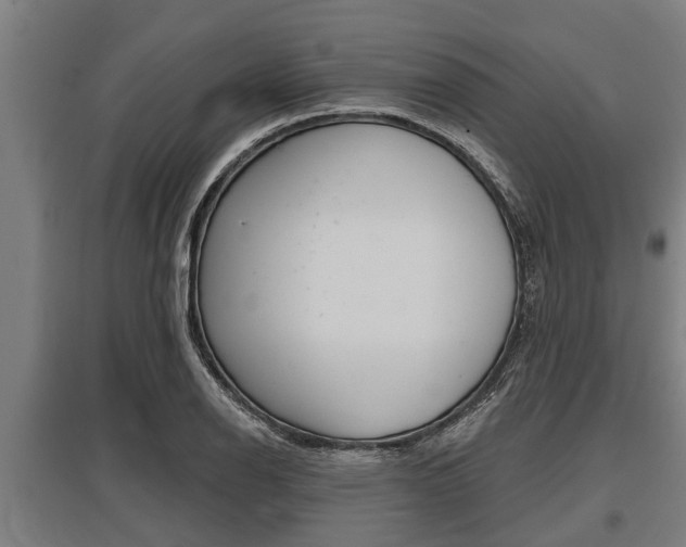X0000096131126200801180823